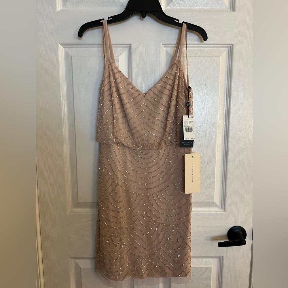 Adrianna Papell Beaded Dress
